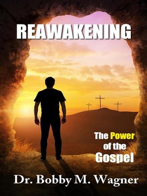 cover image of ReAwakening